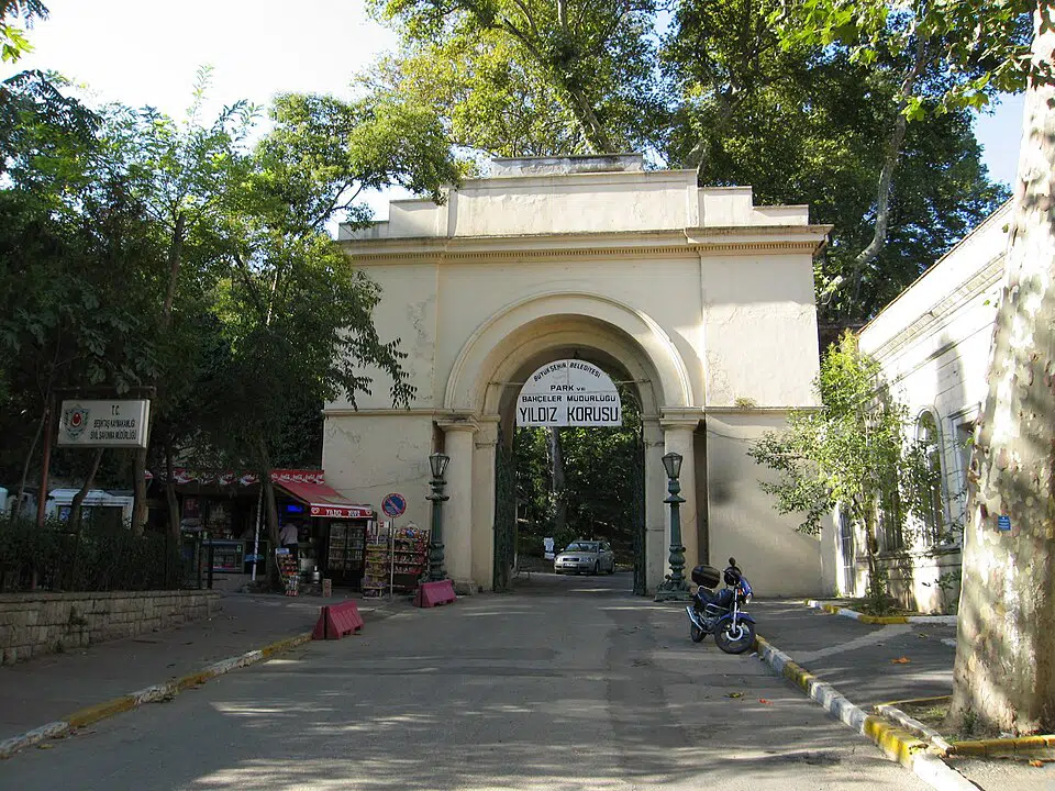 Gallery image